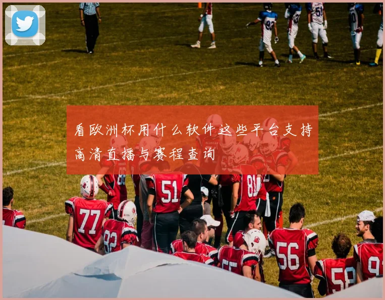 看欧洲杯用什么软件这些平台支持高清直播与赛程查询