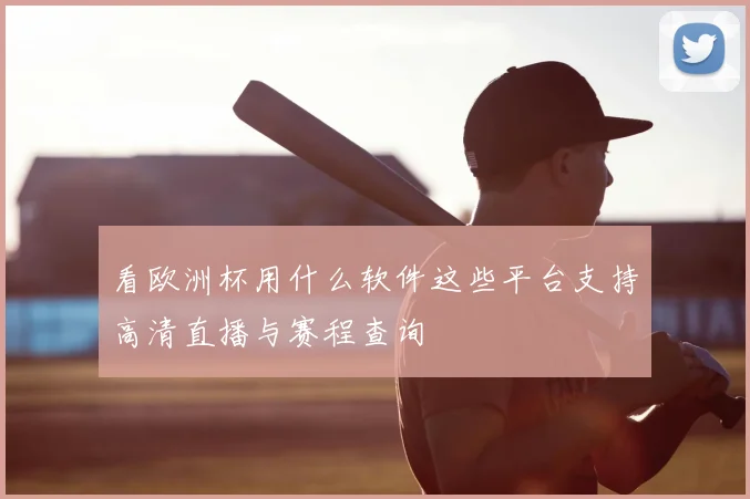 看欧洲杯用什么软件这些平台支持高清直播与赛程查询