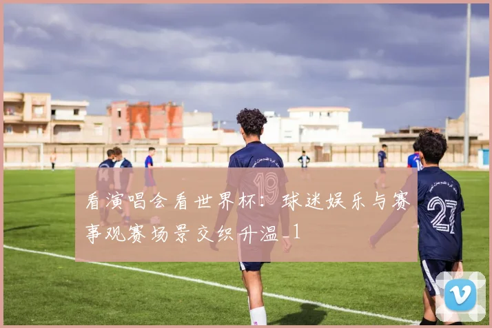 看演唱会看世界杯：球迷娱乐与赛事观赛场景交织升温_1