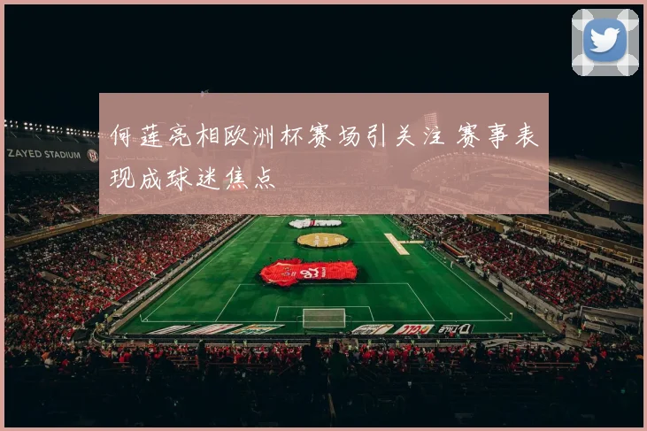 何莲亮相欧洲杯赛场引关注 赛事表现成球迷焦点