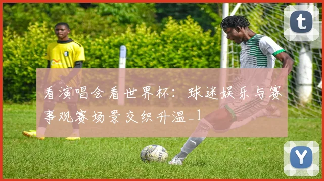 看演唱会看世界杯：球迷娱乐与赛事观赛场景交织升温_1