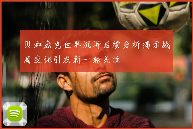 贝加庞克世界沉海后续分析揭示战局变化引发新一轮关注