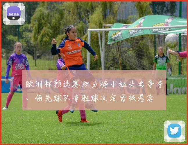 欧洲杯预选赛积分榜小组头名争夺、领先球队净胜球决定晋级悬念